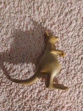KANGOUROU animal 3242 3893
