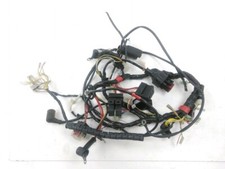 FAISCEAU ELECTRIQUE DERBI