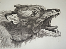 Gravure du 19ème siècle