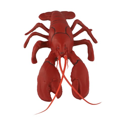 Modèle homard pour vivant