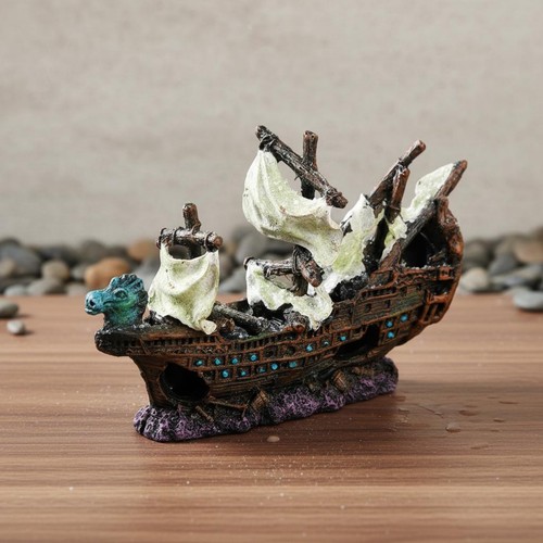 épave bateau pirate - Épave,
