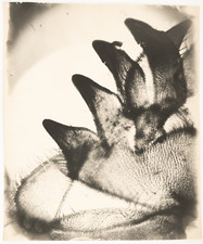 Miroslav Tichy  Tirage argentique d'époque  59x49  Circa 1970     Tira