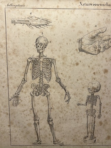 Lithographie ancienne 1833 - lithographie,
