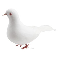 Colombes volantes blanches