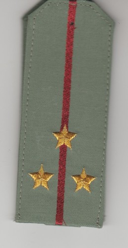 Paire fourreaux lieutenant - de,