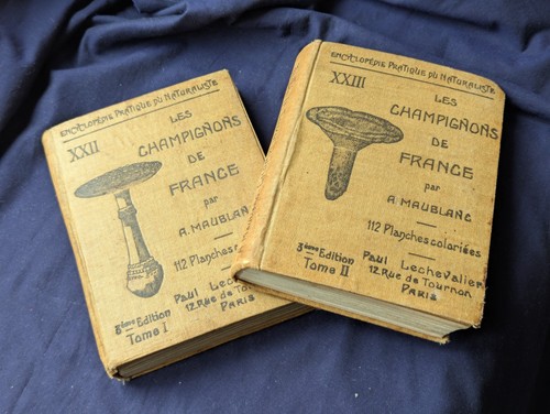 Ancien livre champignons - livre,