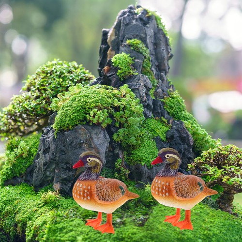 Pièces faux canard - 2,