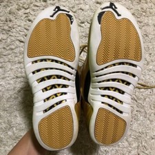 Nike Air Jordan 12 Pinnacle