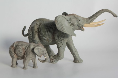 Grand éléphant - , et