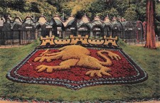 69 LYON PARC DE LA TETE D OR LE LION HERALDIQUE