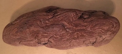 Natural driftwood fish - natural, tank