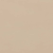 Morceau de cuir de collet