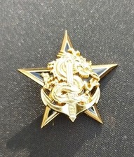 Insigne TDM Colo 9°RIMa