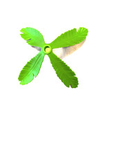 5266 PLAYMOBIL5266-65 PARTIE