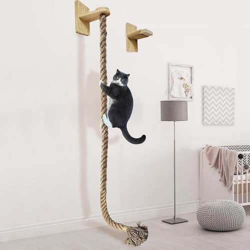 Arbre chat avec - chat, en