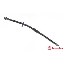 BREMBO Flexible de Frein avant