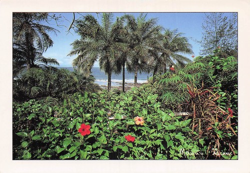Senegal cap skirring beach - senegal,