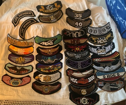 Lot hog harley davidson - of,