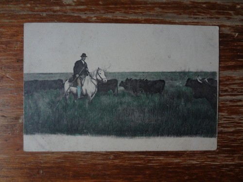 Cpa camargue gardian - :,