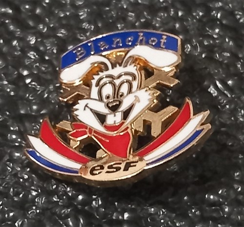 Médaille insigne broche esf - broche,