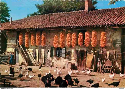 Carte postale ain - 01,