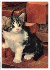 ASVP14-1069-CHAT - Norvegien