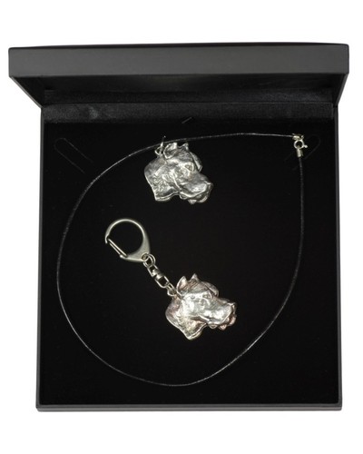 Dogue argentin set le - set,