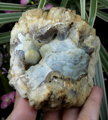 Calcédoine botryoïdale bleue - calcédoine,