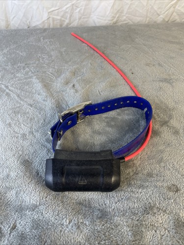 Garmin dc40 dog tracking - dog,