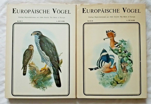 Europaische vogel par rutgers - vogel,