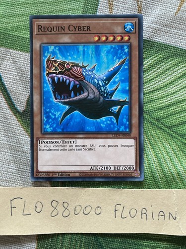 Requin cyber c - :,