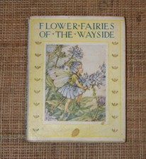 CM BARKER  FLOWER FAIRIES OF