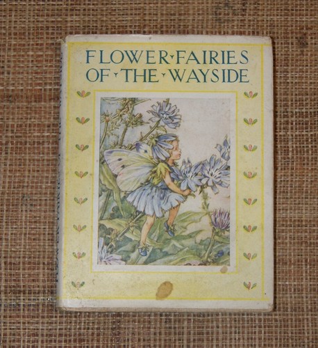Barker flower fairies - cm,