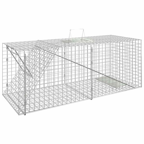 Cage piégeage attrape - cage,