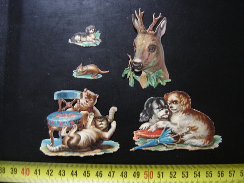 Lot chromo decoupis animaux - chromo,