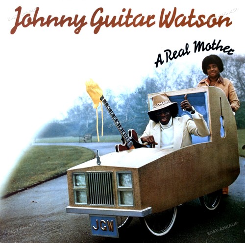 Johnny guitar watson a real - -,
