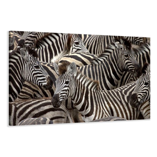 Images sur toile - , cadre