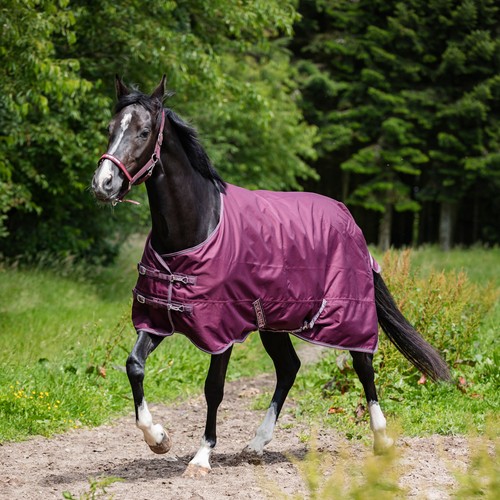 Couverture poney horse - couverture,