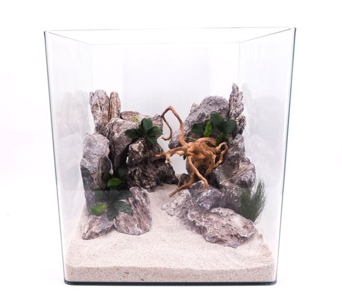 Nanotank aquarium - nanotank,