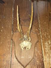 Massacre  trophée de