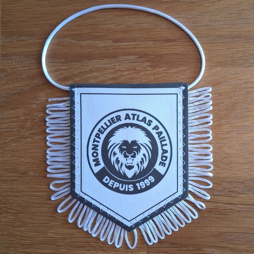 Montpellier atlas paillade - montpellier,