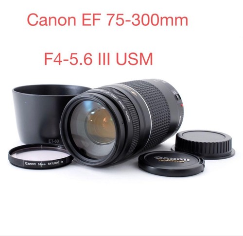 Objectif zoom canon - objectif, ef
