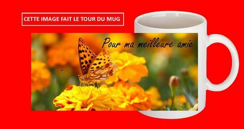 Mug tasse ceramique papillon - mug,