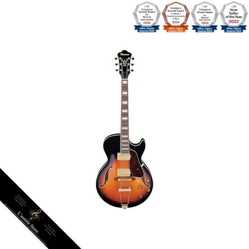 Guitare acoustique complète