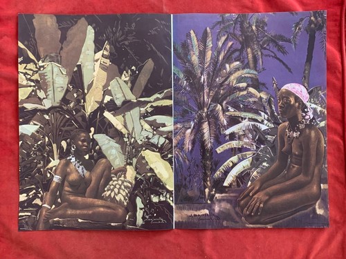 Rare illustrations majorelle - -,