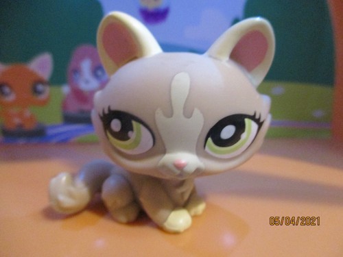 Petshop chat sphynx 1370 - petshop, #1370