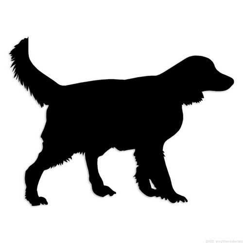 Irish setter gordon - gordon, dog
