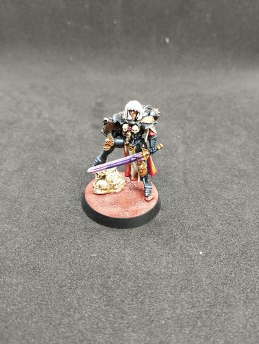 Canoness veridyan pro paint - paint,