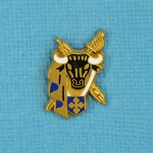 Pin logo clubs taurins - /,