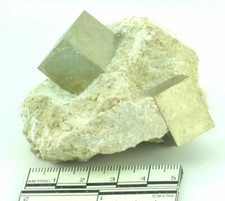 Pyrite cubique sur gangue Espagne (D)